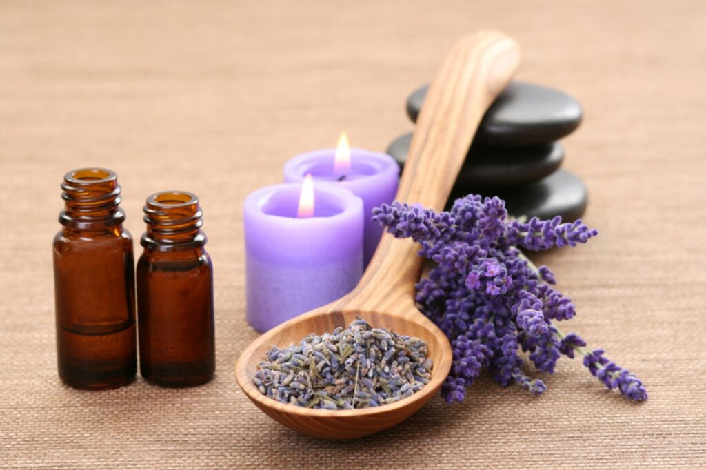 lavender-5562278_1280