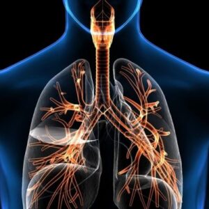 Aparato Respiratorio
